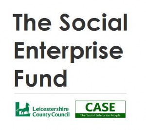 The Social Enterprise Fund